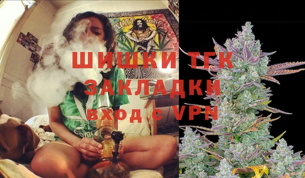 индика Алзамай