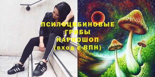 Альфа ПВП Алексеевка