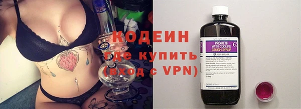 индика Алзамай
