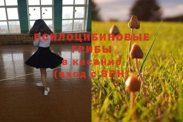 индика Алзамай