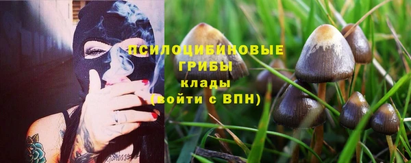 скорость Абаза