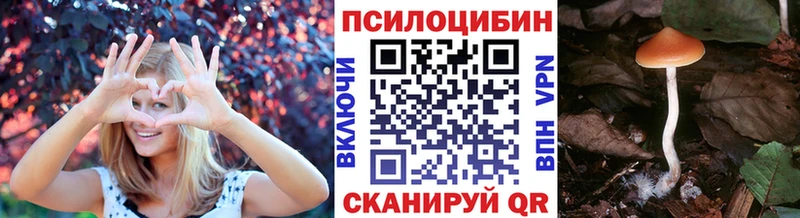 как найти   Тихвин  Псилоцибиновые грибы Psilocybine cubensis 