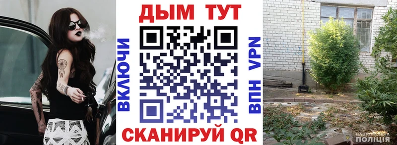 Канабис индика Тихвин